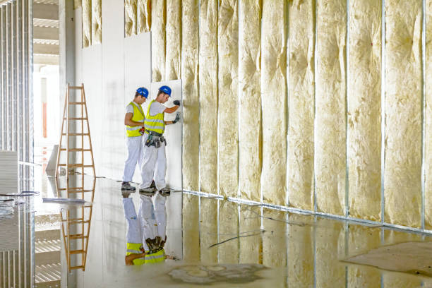 Types of Insulation We Offer in Plymouth, MN